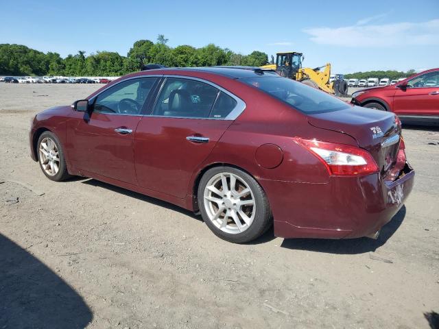 Vin: 1n4aa5ap7ac862051, lot: 57850765, nissan maxima s 20102