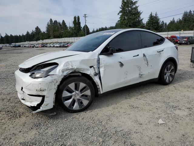 TESLA MODEL Y 2022 white  electric 7SAYGAEE4NF519976 photo #1