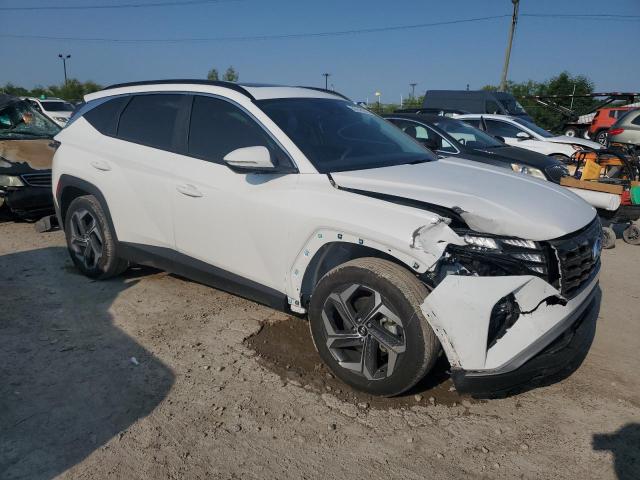 2024 HYUNDAI TUCSON SEL - 5NMJFCDEXRH398891