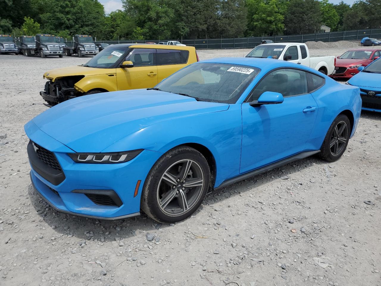 FORD MUSTANG