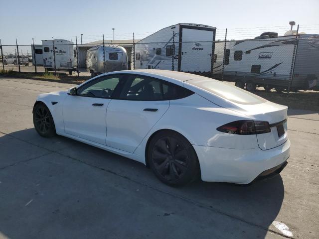 2023 TESLA MODEL S 5YJSA1E53PF513027