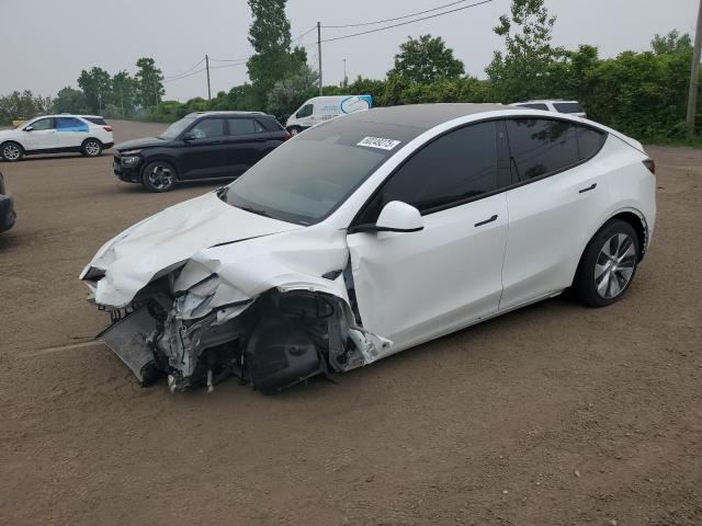 Vin: lrwygdee3pc107284, lot: 60249275, tesla model y 2023 img_1