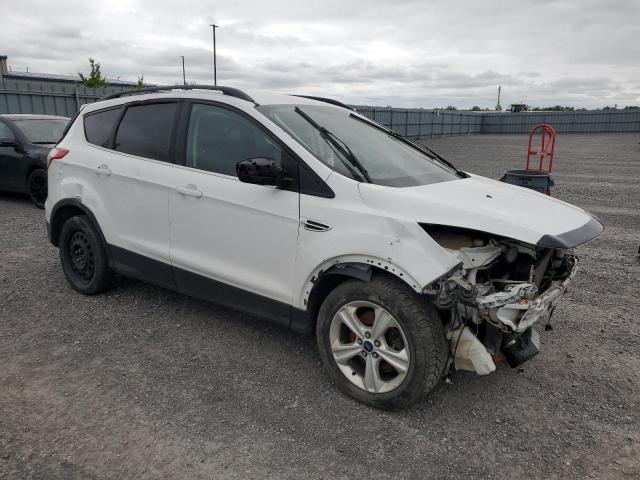 2014 FORD ESCAPE SE - 1FMCU0G96EUC61831