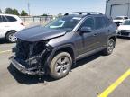 2024 TOYOTA RAV4 XLE - 4T3RWRFV0RU138210