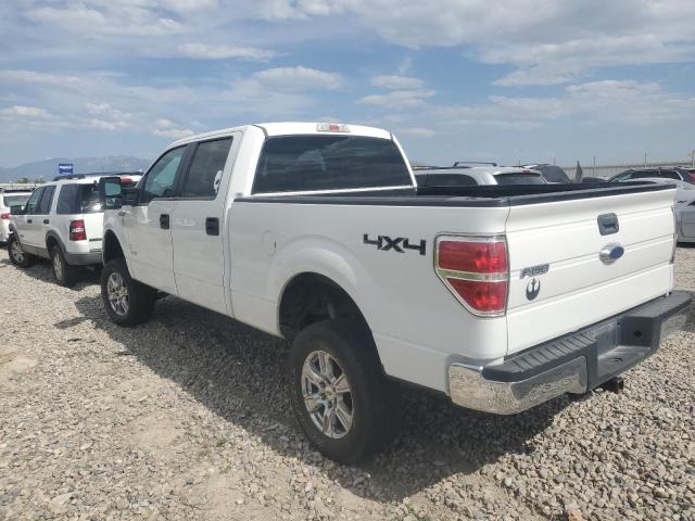 Vin: 1ftfw1et5dfb11311, lot: 62582475, ford f-150 supercrew 20132