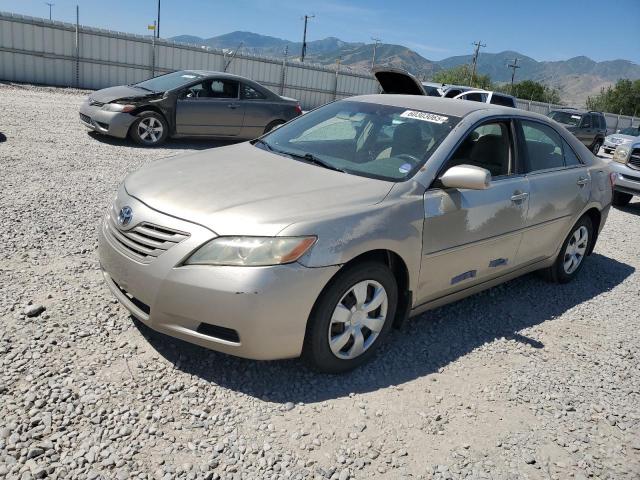 TOYOTA CAMRY BASE 2009 beige  gas 4T1BE46K09U266503 photo #1