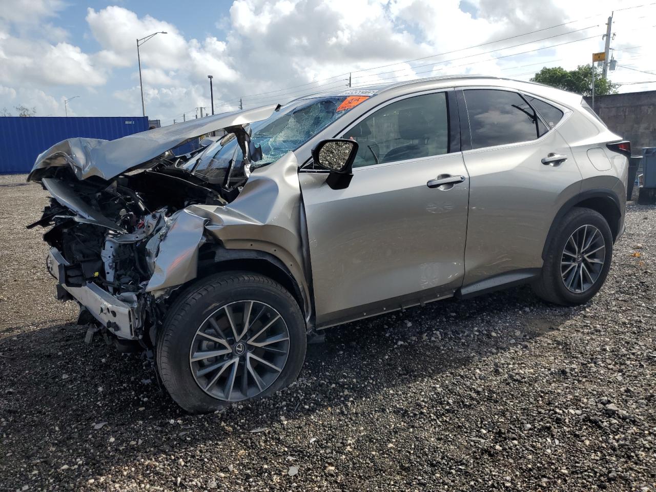 LEXUS NX 250