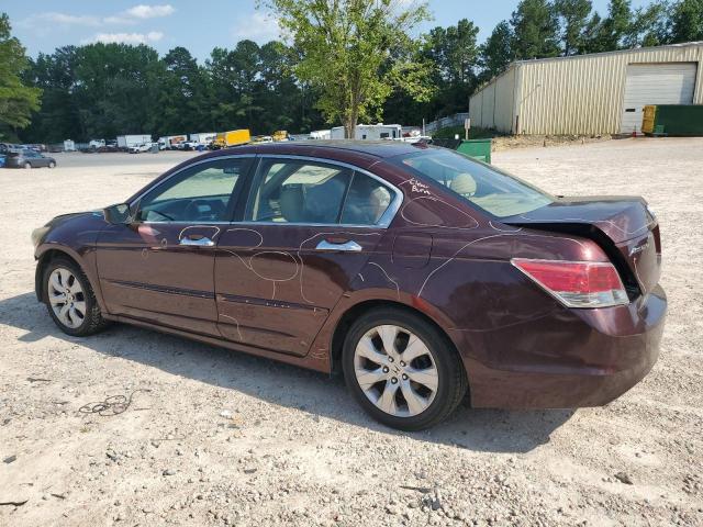 Vin: 5kbcp3f83ab016351, lot: 61448775, honda accord exl 20102