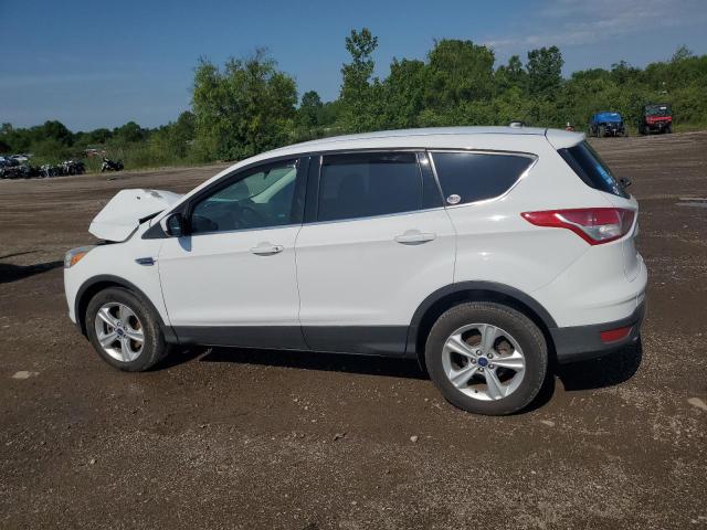 2014 FORD ESCAPE SE - 1FMCU0G92EUD32474