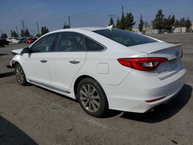 2017 HYUNDAI SONATA SPO 5NPE34AF8HH584332