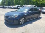 2017 KIA OPTIMA PLU - KNAGV4LD3H5015108