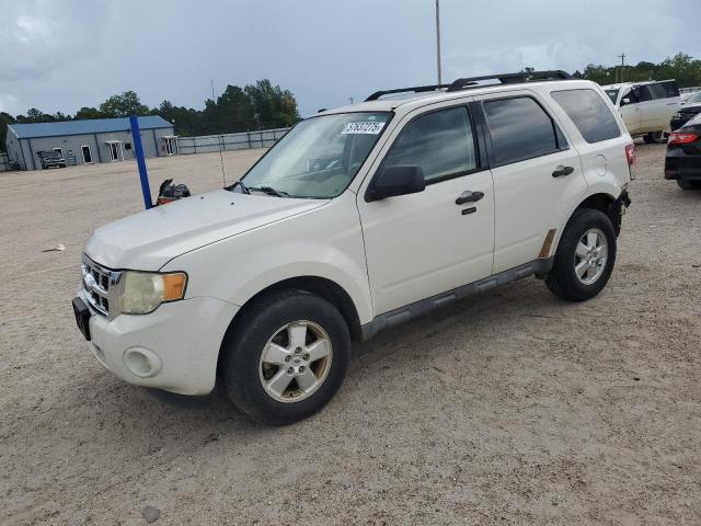 Vin: 1fmcu0d7xaka33159, lot: 57637275, ford escape xlt 2010 img_1