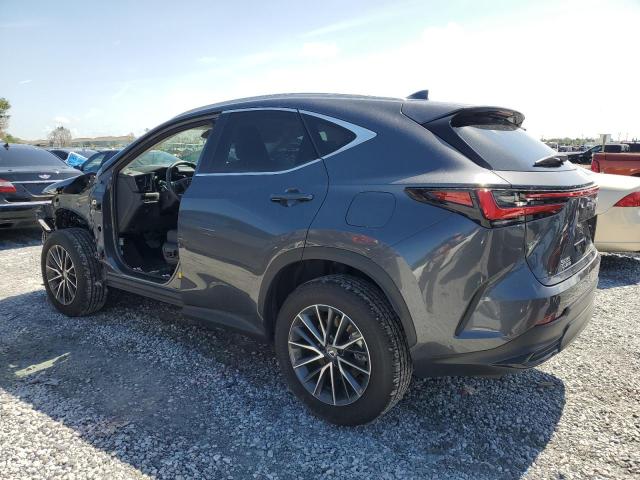 2025 LEXUS NX 250 PRE 2T2GDCAZ4SC021438