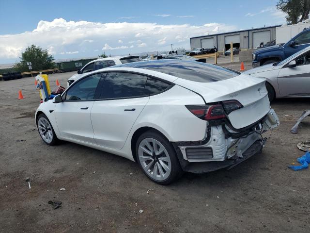 2023 TESLA MODEL 3 5YJ3E1EA6PF459342