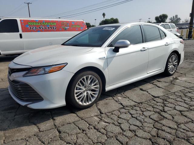 Vin: 4t1f31ak5lu016338, lot: 60080545, toyota camry xle 2020 img_1