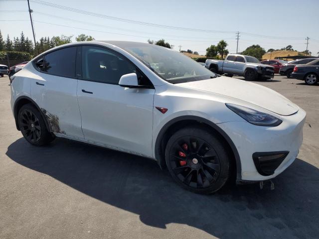 2021 TESLA MODEL Y 5YJYGDEE1MF265155