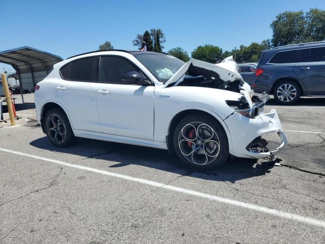 2022 ALFA ROMEO STELVIO TI - ZASPAKBN7N7D47637