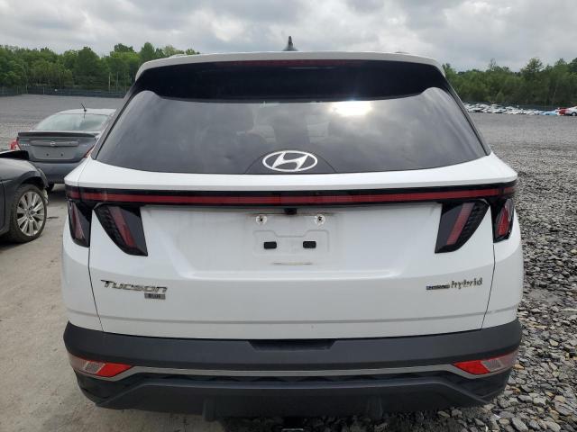 2022 HYUNDAI TUCSON BLU KM8JBCA10NU082217