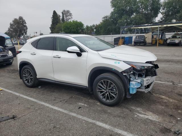 2025 LEXUS NX 250 PRE JTJGDCAZ6S2025006