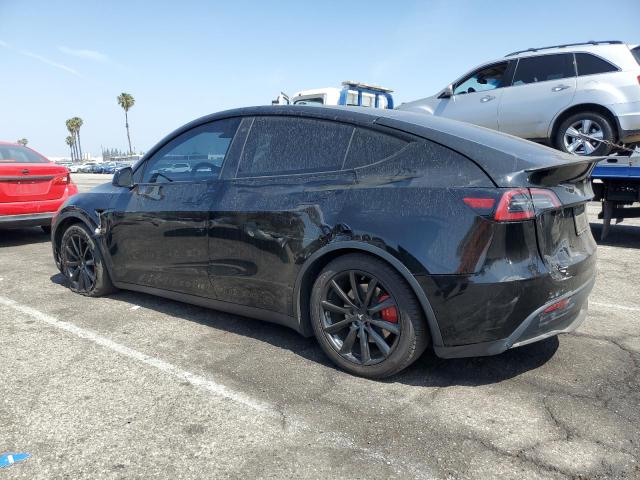 2023 TESLA MODEL Y 7SAYGDEF8PF596640