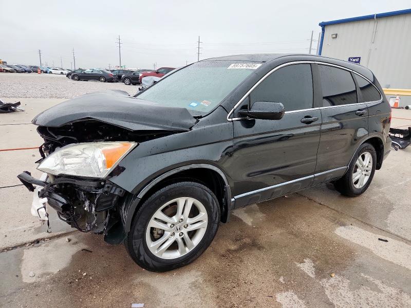 Vin: 5j6re3h74al049966, lot: 59757605, honda crv exl 2010 img_1
