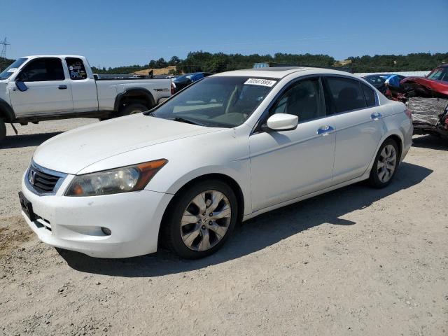 Vin: 1hgcp3f88aa002261, lot: 60507895, honda accord exl 2010 img_1
