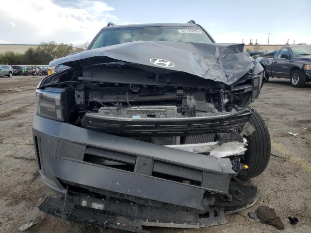 2025 HYUNDAI SANTA FE L 5NMP3DG13SH019494