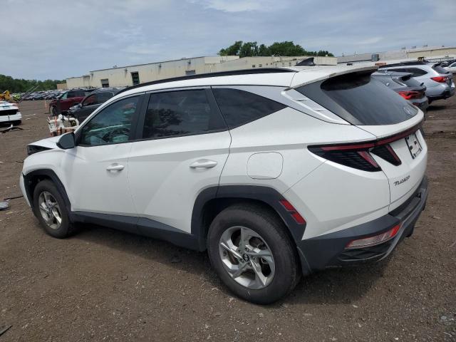 2023 HYUNDAI TUCSON SEL 5NMJBCAE0PH245899