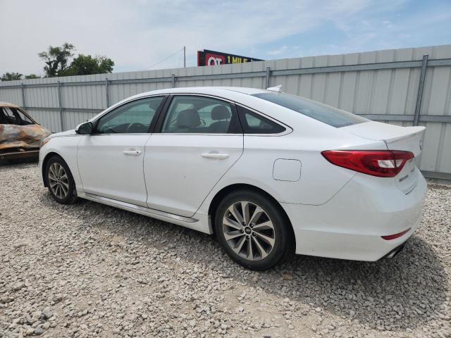 2016 HYUNDAI SONATA SPO - 5NPE34AF1GH329598