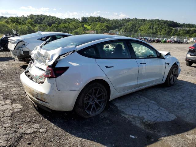 2023 TESLA MODEL 3 5YJ3E1EA5PF567354