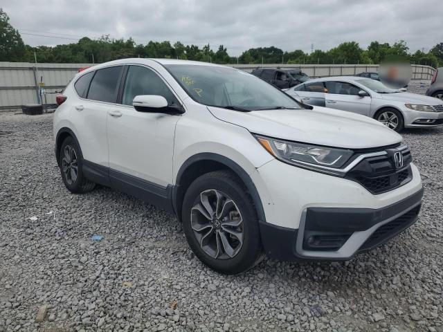 Vin: 5j6rw1h87la017828, lot: 59882035, honda crv exl 20204