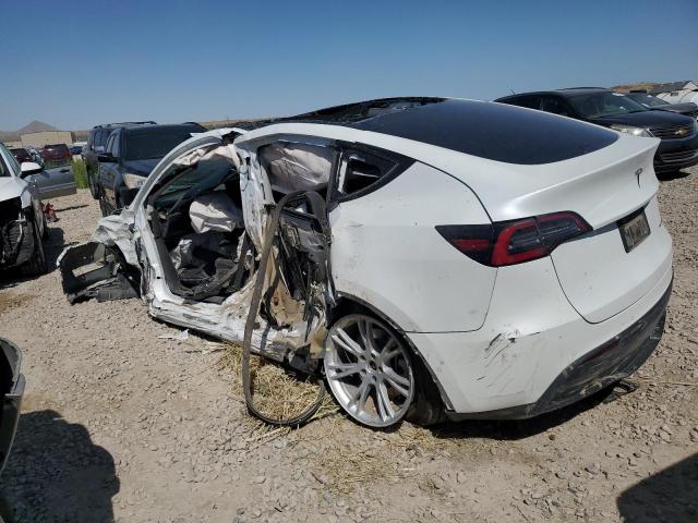 2020 TESLA MODEL Y 5YJYGDEEXLF016688