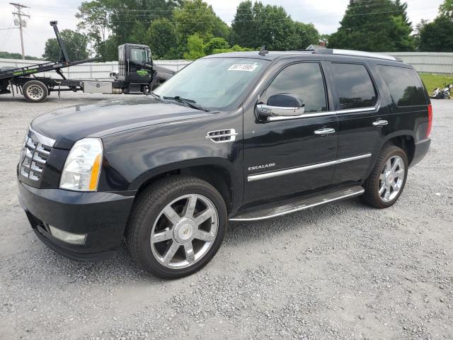 Vin: 1gys3bef3br134289, lot: 59711595, cadillac escalade luxury 2011 img_1