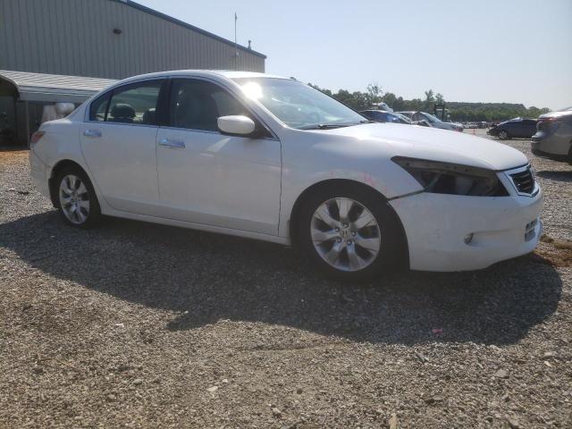 Vin: 5kbcp3f81ab016607, lot: 60242205, honda accord exl 20104