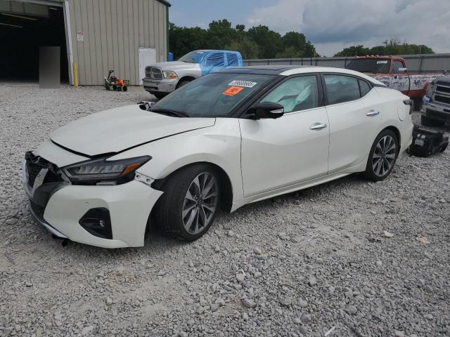 2023 NISSAN MAXIMA PLA 1N4AA6FV3PC513085