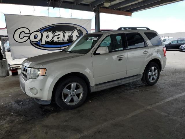 Vin: 1fmcu0eg4akb63534, lot: 60538435, ford escape limited 2010 img_1