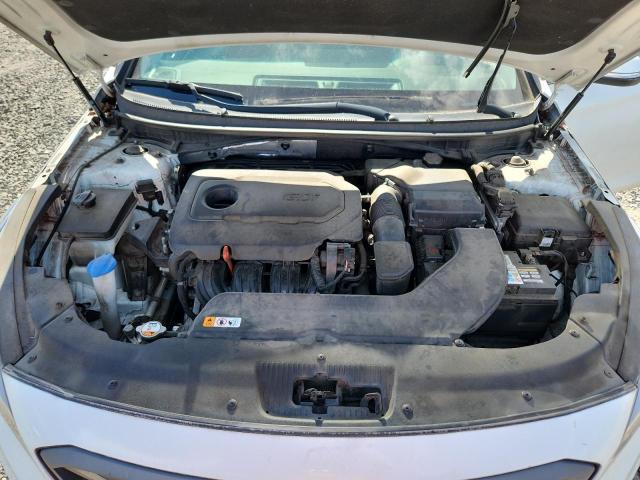 2016 HYUNDAI SONATA SPO 5NPE34AF7GH286854