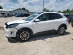 2020 FORD ESCAPE SE - 1FMCU9G69LUB24745