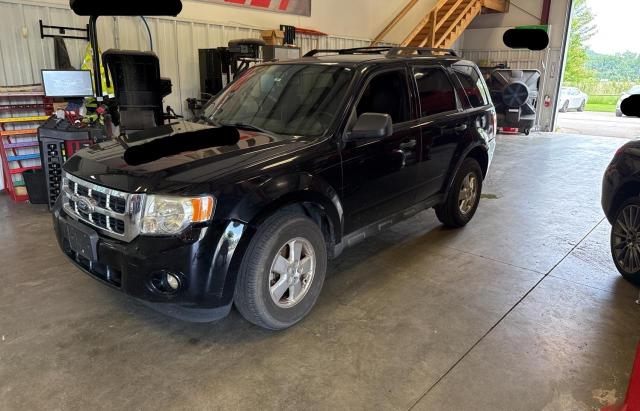 Vin: 1fmcu0d72ckb03837, lot: 60271955, ford escape xlt 20122