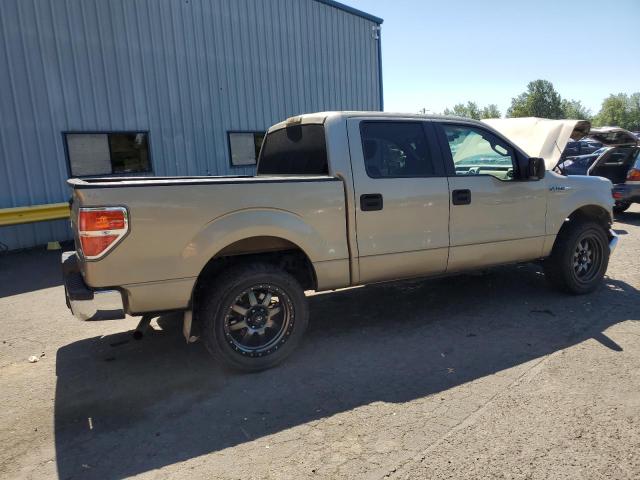 2010 FORD F150 SUPER - 1FTFW1EV6AFB53385