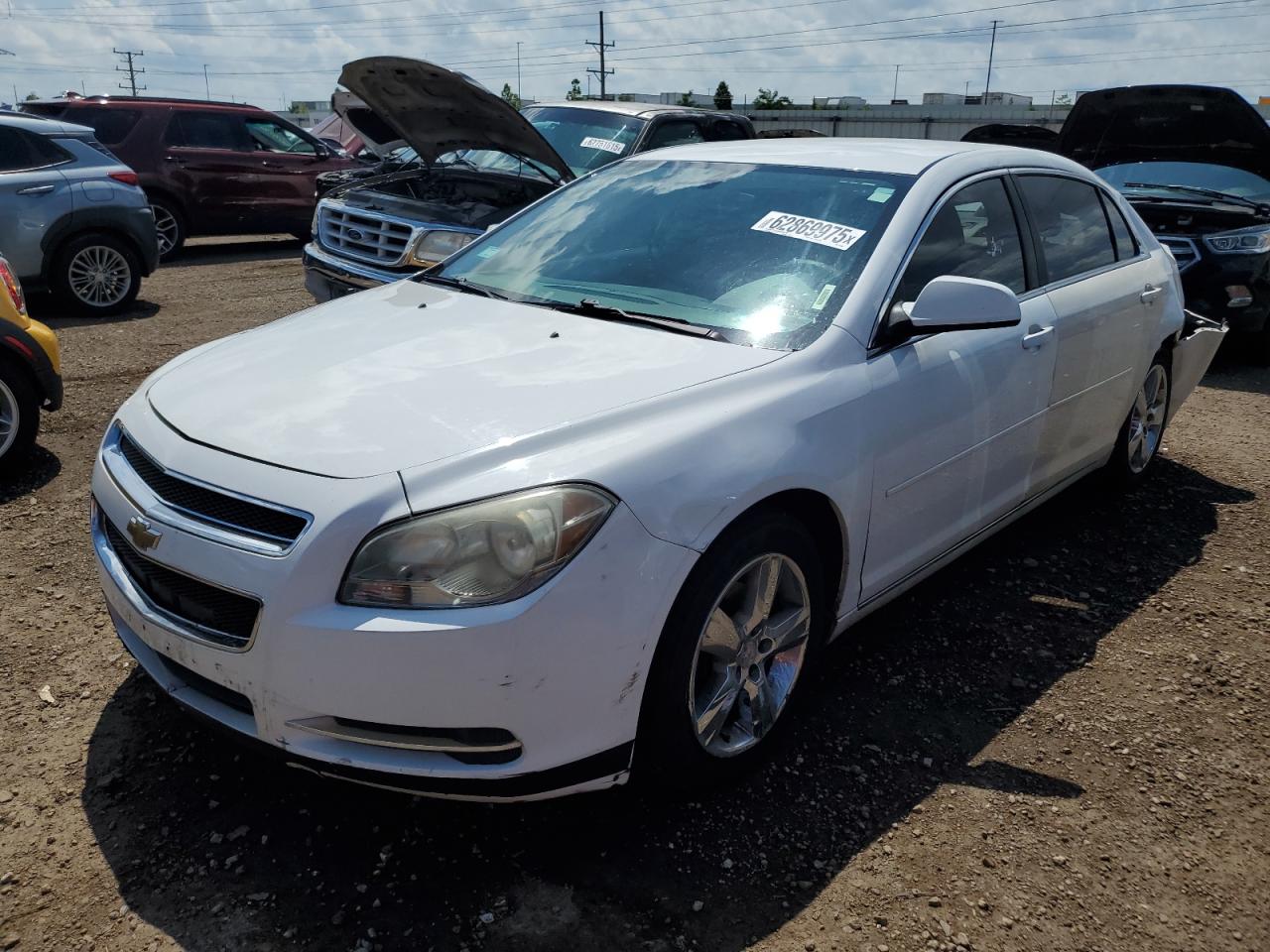 Lot #3305628719 2010 CHEVROLET MALIBU 1LT