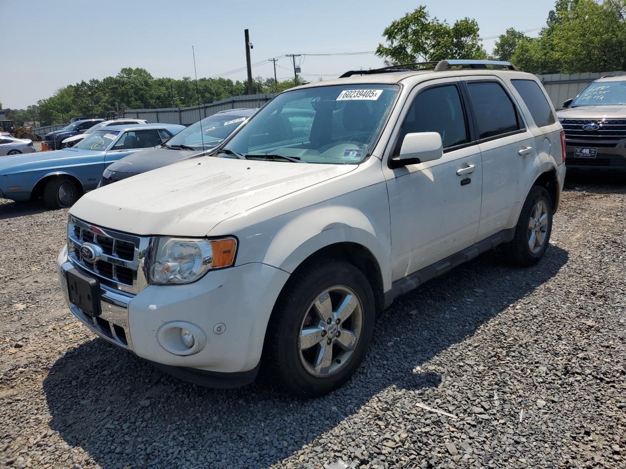 FORD ESCAPE LIMITED
