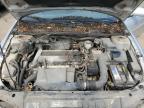 Lot #3316884099 2003 CHEVROLET CAVALIER L