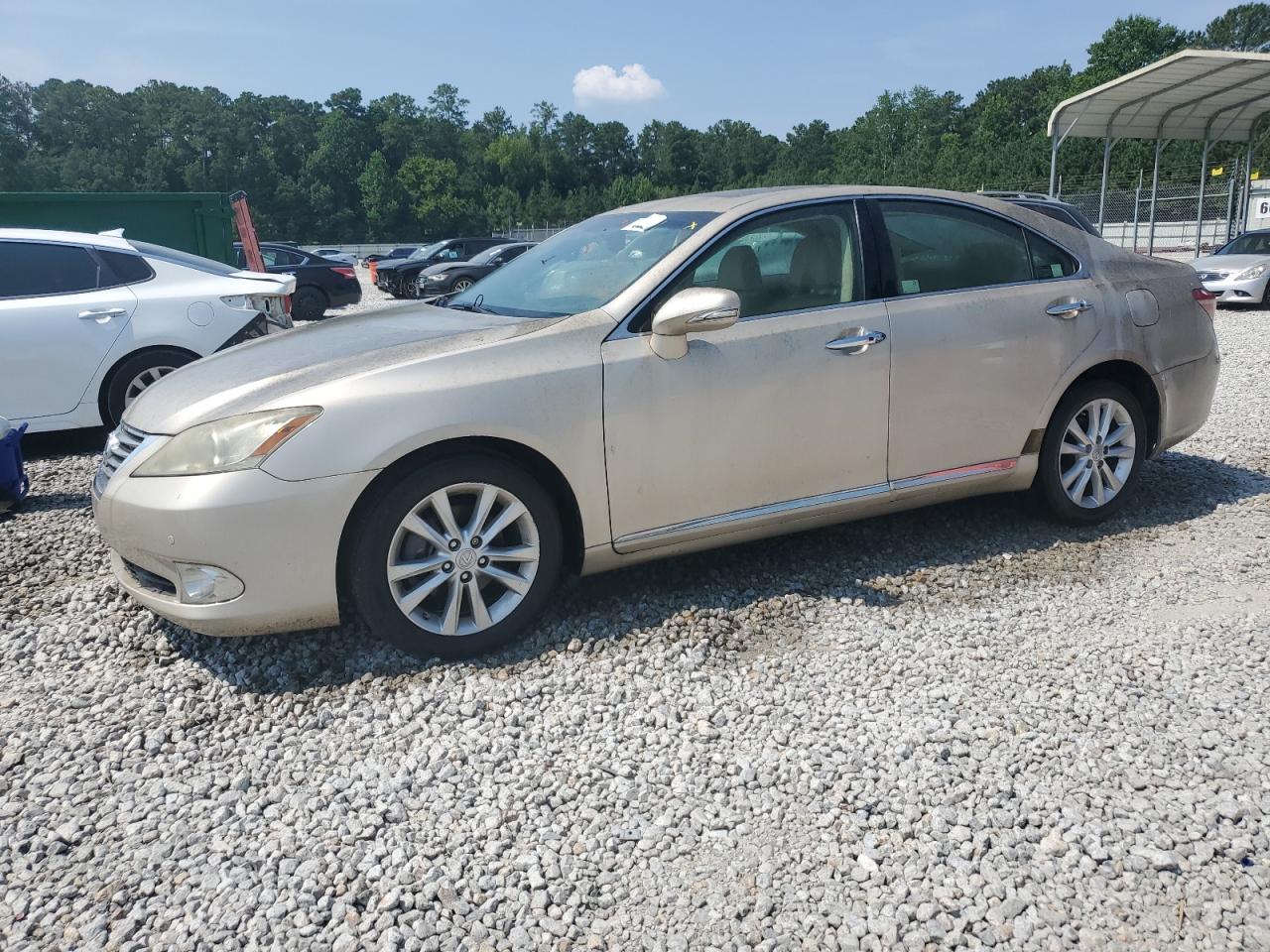 LEXUS ES 350