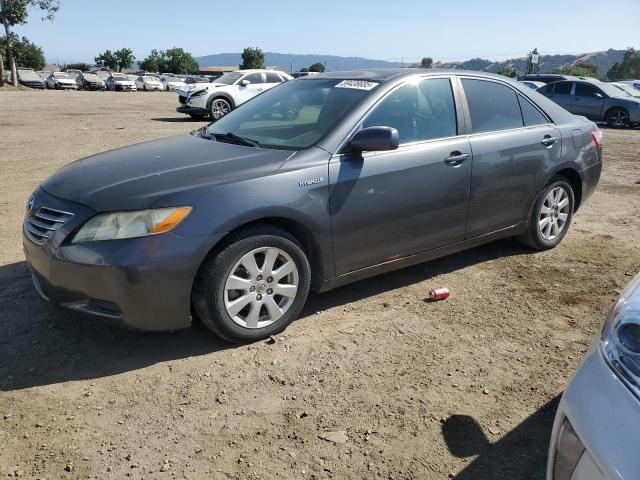 TOYOTA CAMRY HYBR