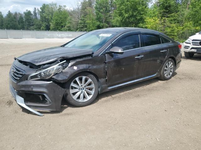 Vin: 5npe34af6gh416249, lot: 60197635, hyundai sonata sport 2016 img_1