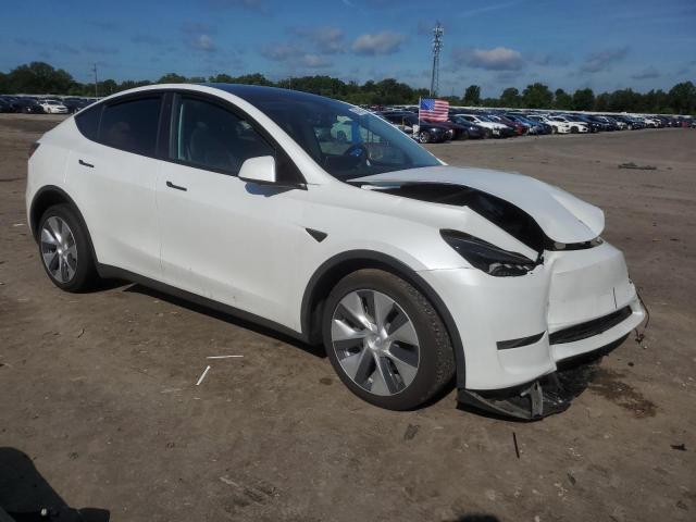 2023 TESLA MODEL Y 7SAYGDEE4PF664617