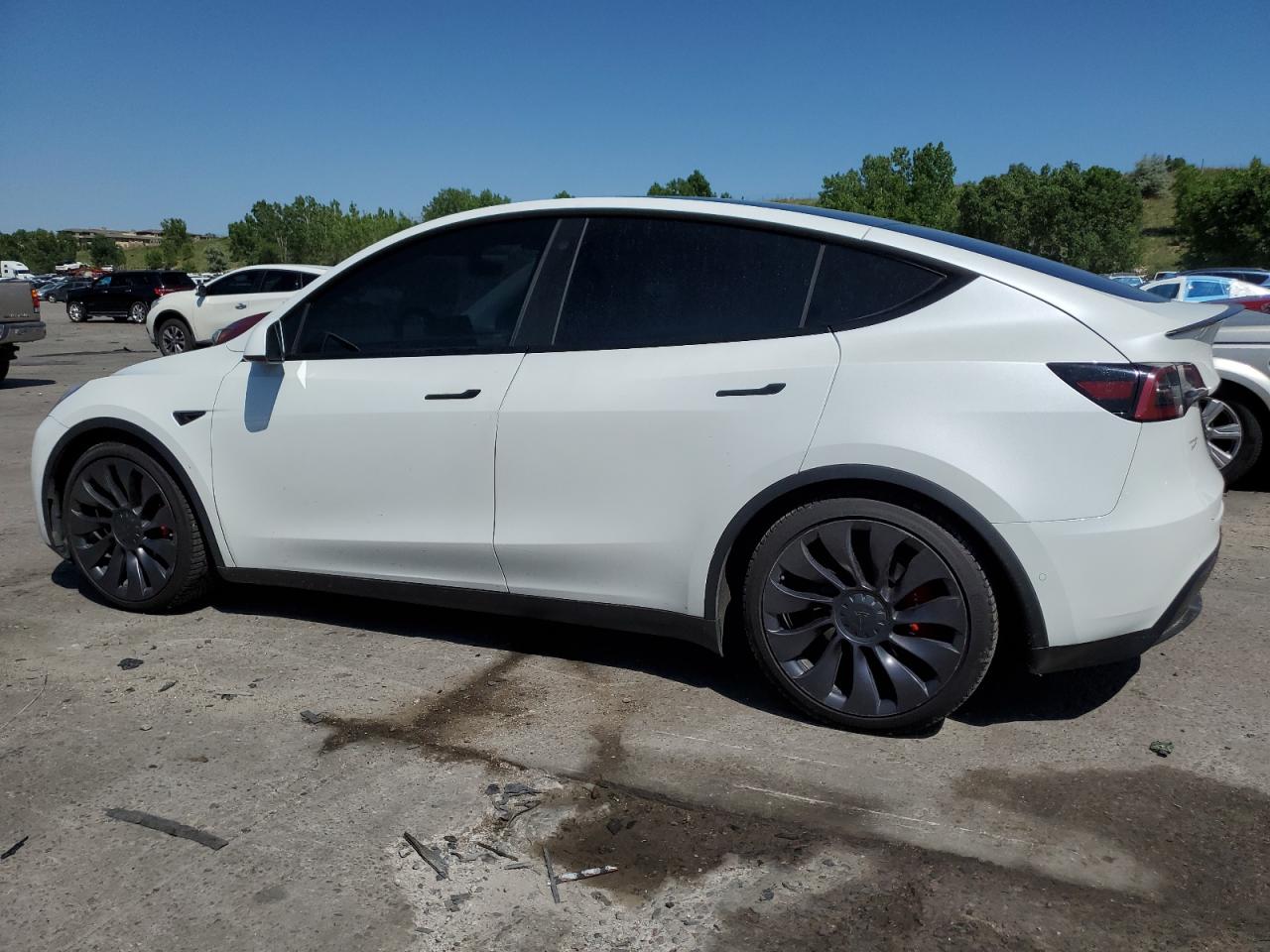 TESLA MODEL Y
