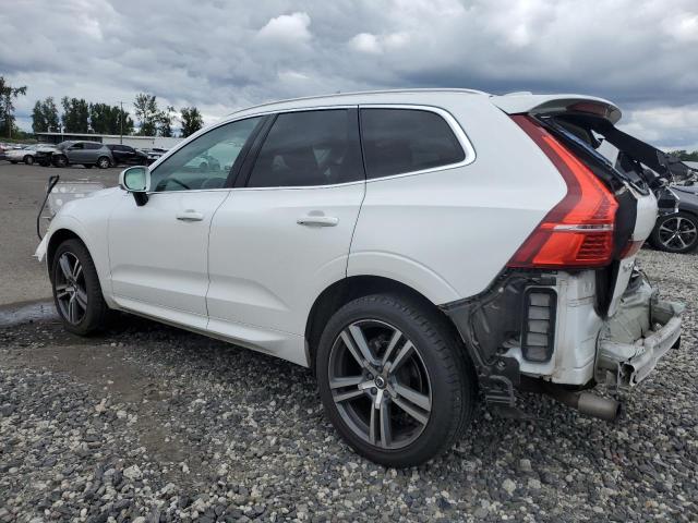Vin: yv4102rkxm1826436, lot: 59588325, volvo xc60 t5 momentum 20212