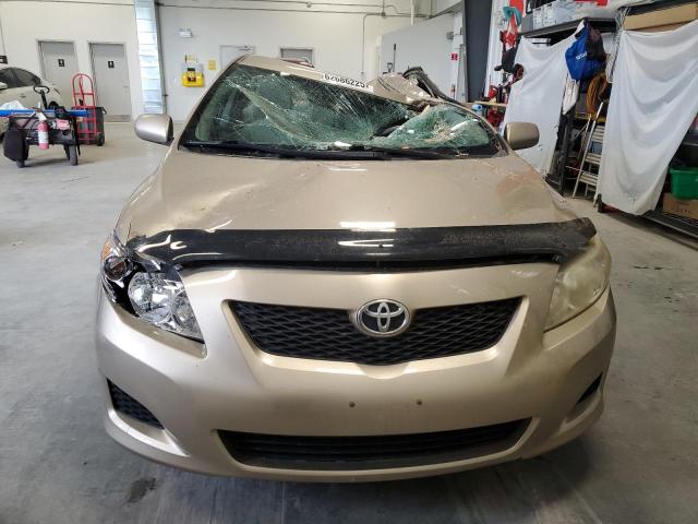2T1BU4EE8AC342716 2010 TOYOTA COROLLA